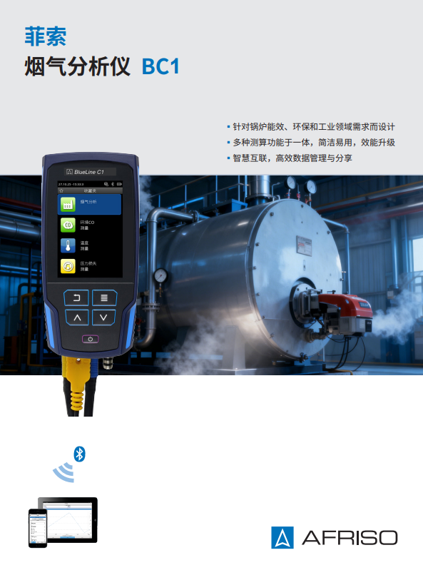 烟气分析仪 BC1